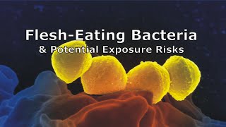 FleshEating Bacteria and Potential Exposure Risks [upl. by Esiahc]