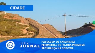 PASSAGEM DE ANIMAIS NA PERIMETRAL DE ITATIBA PROMOVE SEGURANÇA NA RODOVIA [upl. by Mehta]