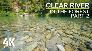 Soothing Sound of a Flowing Water Stream amp Birds Chirping  4K Redwood Forest Clear River  Part 2 [upl. by Noseimaj]