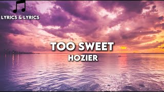 Too Sweet  Hozier lyrics [upl. by Eversole]