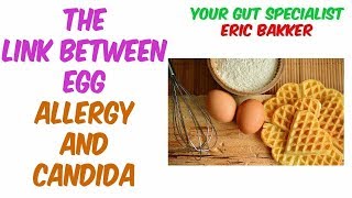 Egg Allergy On Candida Diet [upl. by Marchall]