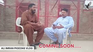 UPCOMING INTERVIEW USTAD GULAM NABI CHICHAWATNI pigeon [upl. by Maier]