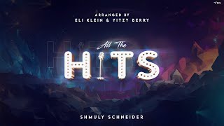 Shmuly Schneider  All The Hits  שמולי שניידער  כל הלהיטים [upl. by Burgess]