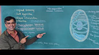 Microsporidia  Obligate Intracellular Parasitic Fungi Lets Explore the Micorbial world [upl. by Anaylil771]