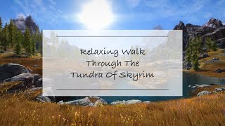 Relaxing Walk Through The Tundra Of Skyrim “With Mods”  Music amp Ambiance [upl. by Caprice148]