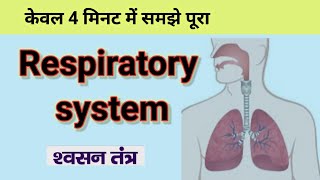 respiratory system in hindi  Lungs  structure Function [upl. by Ellennod508]