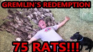 Gremlins Redemption 75 RATS [upl. by Yrokcaz479]