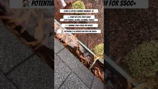 Gutter Cleaning Business Idea 🍁🤑 [upl. by Eirrot]