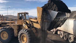 Caterpillar 992B Wheel Loader Loading Coal On Trucks [upl. by Aciruam817]