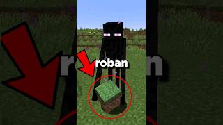 ¿Por qué los endermans roban bloques 😨 minecraft viral miedo josativi shorts youtube [upl. by Vania]