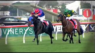 2013 Magic Millions National Sale PreviewPromo [upl. by Hooge]