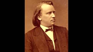 Brahms  Violin Concerto 3rd Movement Edit [upl. by Theodor]