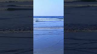 SeaView Clifton Karachi  Sea Waves  Deep Blue Sea animalloverofpakistan karachiseaview seawaves [upl. by Rurik930]