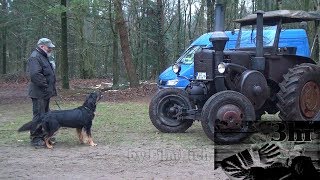 Hund Bellt  ich mag dich Lanz Bulldog  Burg 2018 [upl. by Susej]