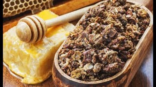 ★ Bee Propolis Benefits Immunity in the Fight Against Cancer Candida amp Parasites [upl. by Lynnet]