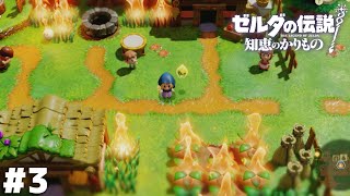 ミナミノ村を焼き払う魔女の姿が目撃される【ゼルダの伝説 知恵のかりもの】＃３ [upl. by Aubreir696]