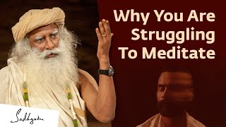 The Reason Why You Are Struggling To Meditate [upl. by Ettelliw]