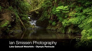 Landscape Photography 18 Lake Quinault Falls  Olympic National Park [upl. by Dustman]