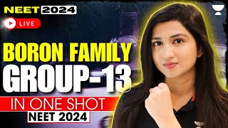 Group 13  Boron Family  pBlock in 4 Days  NEET 2024  Akansha Karnwal [upl. by Droffilc]