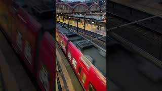 Stog at Copenhagen Main Station publictransport train copenhagen denmark shorts transport [upl. by Suolekcin130]