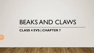 Class 4 EVS  Chapter 7  Beaks and Claws [upl. by Nodnart]