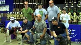 2012 UKC Coonhound World Championship  United Kennel Club [upl. by Horgan]