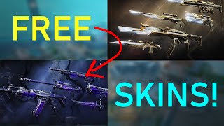 I coded a VALORANT SKIN MOD to get free skins [upl. by Eire]