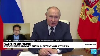 War in Ukraine Who are Russias allies • FRANCE 24 English [upl. by Oilcareh]