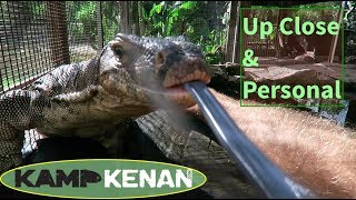 The Lizards of Kamp Kenan [upl. by Johnath]