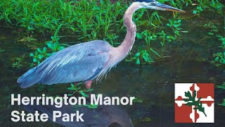 Herrington Manor State Park  Oakland Maryland [upl. by Maurice]