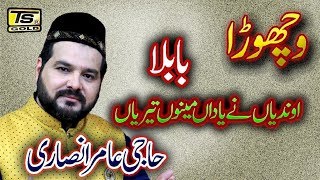 Babula Mainu yaadan teriyan aundiya ne by haji amir ansari TS GOLD 2018 [upl. by Haeluj]