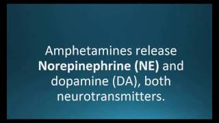 Norepinephrine NE Pharmcabulary for Memorizing Pharmacology Chapter 5 Neuro Flashcard [upl. by Honor143]