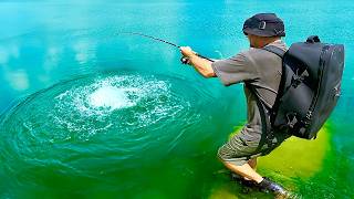 Urban Fishing in Florida [upl. by Ailido]