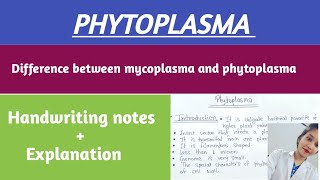 Phytoplasma characters symptoms lifecycle amp control ✅  Phytoplasma notes [upl. by Valeda126]