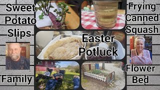 What I made for Easter Potluck  Growing Potato slips  frying Canned SquashFamily [upl. by Agnesse227]