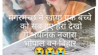 Magarmach kaise hote h 😘😙dekhiye is video me 😙😴trending ytvideoes anuradhajhariya45791 [upl. by Ulani]