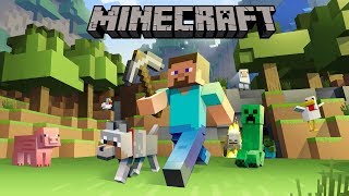 Hindi MINECRAFT SURVIVAL GAMEPLAY  LETS HAVE SOME FUN1 [upl. by Nilesoj550]