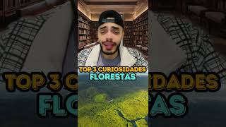 FLORESTAS  TOP 3 CURIOSIDADES [upl. by Regni]