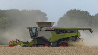 Warter Priory Estate Winter Wheat Harvest 2021 [upl. by Ilene]