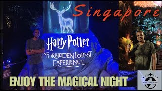 Exploring the Real Life Harry Potter Forbidden Forest Trail in Singapore 🌳✨ [upl. by Suirad]