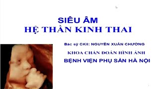 Siêu âm HỆ THẦN KINH THAI sinh lý và bệnh lý  BS CKII Nguyễn Xuân CHường  Lớp SA ĐH Y HN [upl. by Betty]