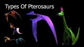 Types Of Pterosaurs [upl. by Ciri]