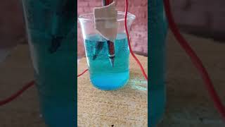 Electrolysis of Cuso4exeprimentChemistryRWATUITIONCLASSES [upl. by Iur]