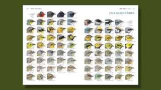 The Warbler Guide  How to Use the Quick Finders [upl. by Longtin]