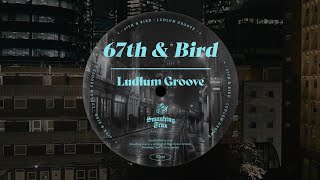 67th amp Bird  Ludlum Groove Original Mix [upl. by Aicilf]