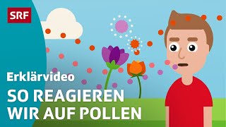 Heuschnupfen  Pollenallergie – einfach erklärt  Kindervideos  SRF Kids [upl. by Einnig330]