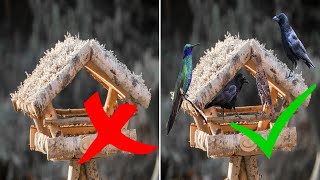 Vogelhaus kein Vogel kommt – Ursachen amp Lösung  Vögel zum Vogelhaus locken und füttern – Tipps [upl. by Yleve]