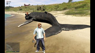 Giant Dead Whale in Cayo Perico  GTA V Online [upl. by Rudd189]