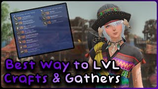 FFXIV Dawntrail  All amp Best Ways to get Crafter amp Gathers to Level 100 [upl. by Ahsikahs]