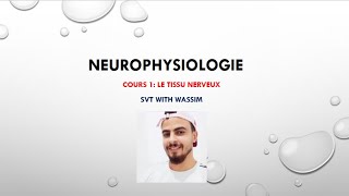 Neurophysiologie cours 1 le tissu nerveux [upl. by Milburr]